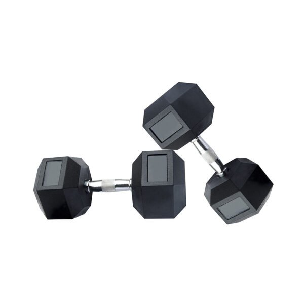 Premium Black Steel Dumbbell Set